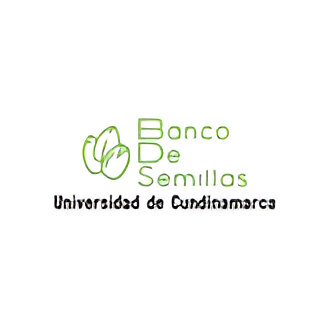 UdeC Logo